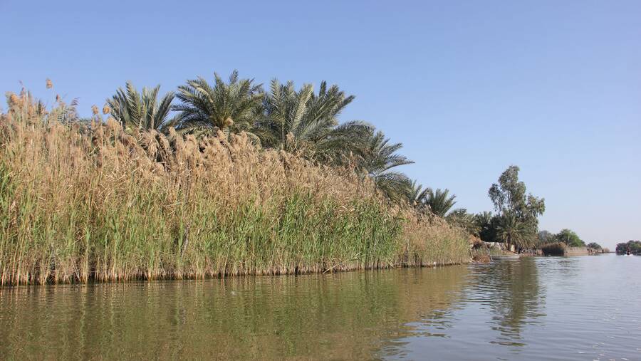Shadegan Lagoon